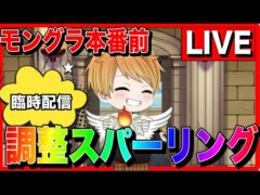 【ドラクエウォーク】視聴者参加型 へるP モングラ前　調整　なかモンスパーリング（なかまモンスター）【ファンキーズGAME】