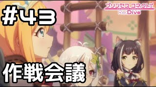 【実況】火の鳥退治の作戦会議【プリコネR｜メインストーリー 3部】#43
