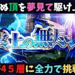 【ロマサガRS】無尽塔45層から挑戦しよう！【初見さん大歓迎】