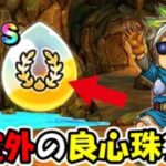【ドラクエウォーク】想定外の良心珠が見つかったぞー！！SP心珠面白すぎるマジで！！