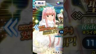 Say Cheese | FGO