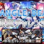【パズドラ】TRIANGLE BEATで銀翼チャレンジ！