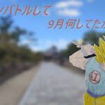 〔ドラゴンボールZドッカンバトル〕休み取ってた理由をドッカンバトルしながらお話しします。