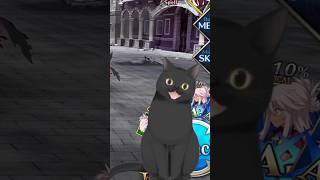 im sorry chloe #vtuber #catvtuber #fgo #fyp