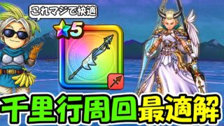 【ドラクエウォーク】千里行周回で乱入もワンパンで処理する最適解構成が見つかる！まさかの槍の使い方が・・・