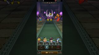 ごくらくちょう #ドラクエウォーク