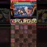【パズドラ】ハロウィンコロシアム【キコル】