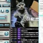 #グラブル 魔星・スパバハ放置狩り  予約コメ「魔星予約」で予約 天元・ルシゼロおすそ分け ライブ:1177 10月14日 火曜日