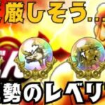 【🔴ドラクエウォーク】第４章開催！新規勢のＤＱＷ