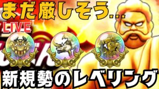 【🔴ドラクエウォーク】第４章開催！新規勢のＤＱＷ