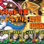 【パズドラ】キティガチャドラ&ガチャドラプリン降臨を四ノ宮キコルで周回する編成を作ってみた