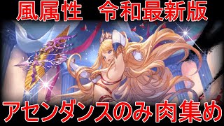 【グラブル】風属性 令和最新版 アセンダンスのみ 肉集め【風古戦場】