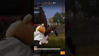 【荒野行動】真剣勝負する精鋭達に応援歌を付けてみた。ワイルドシリーズ。