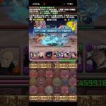 素晴らしいカバカーリー【パズドラ】
