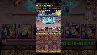 素晴らしいカバカーリー【パズドラ】