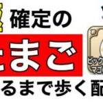 【ドラクエウォーク】使える猿が欲しい！歩く配信【なかまモンスター】