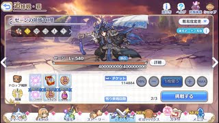 【プリコネＲ】追憶の戦域　追憶戦・覇　ゼーン10層　目押しなしセミオート