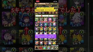 【平凡パズドラ】アンケートスーパーゴッドフェス！10回分結果！