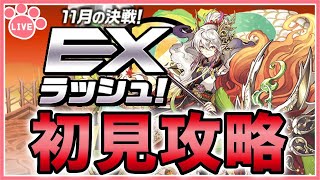 【パズドラ】11月のEXダンジョンを推しキャラで初見攻略！【雑談】