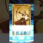 Tiamat Sunmer NP2, Let’s go ~! #fgo #tiamat #gacha #fategrandorder