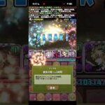 大丈夫ですか、これ？【パズドラ】