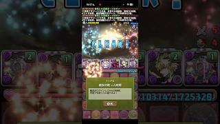 大丈夫ですか、これ？【パズドラ】