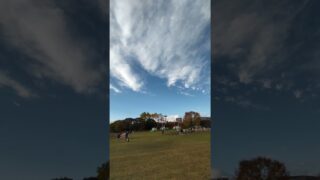 ドラクエウォークが行われている七北田公園の芝生広場 #ドラクエ #スライム