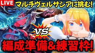 【グラブル】いよいよヴェルサシアマルチに向けて編成準備＆練習枠！【カドミツの配信】
