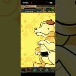 引き強くね！？#パズドラ