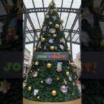 ドラクエウォーク🎄