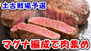 【グラブル】土古戦場 予選1日目 土マグナで肉集め（ライブ）「グランブルーファンタジー」