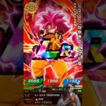 【ドラゴンボール】龍石1200個投資した結果 ドッカンバトル11周年 2026 0129【ドッカンバトル、ドラゴンボールDAIMA、DokkanBattle】