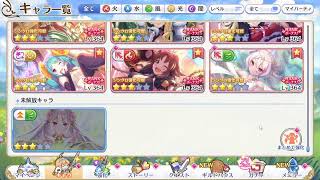 【あけおめ】新年初のプリコネ配信 #28【プリコネR】