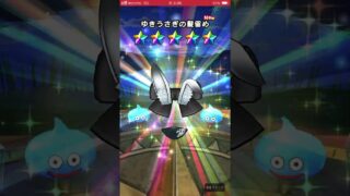 【ドラクエウォーク】雪兎ふくびき　チケット40連でまさかのコンプリート！？ #ドラクエウォーク #ドラクエ #dqw