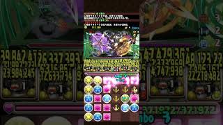 ミゲイル降臨 キコル ソロ周回 部位破壊7 3分10秒台前半（11周目以降のみ）（3倍速） #パズドラ #パズドラ周回