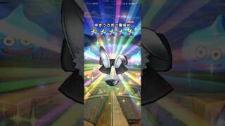 #747【ドラクエウォーク】雪兎のニンジャ装備福引きは有償でピックアップが2つも出ました😊