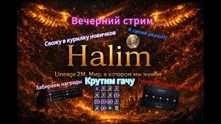 Lineage 2m l Крутим карты, я снова рерол? помощь новичкам, общение по игре #l2m #mmorpg #l2community
