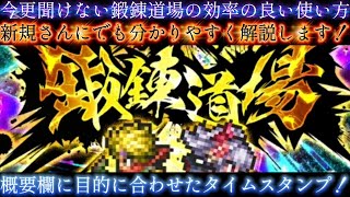 【ロマサガRS】今更聞けない 技ランク 鍛錬道場 の効率の良い使い方(改訂版)、概要欄に目的に合わせたタイムスタンプ！【ロマンシングサガリユニバース】