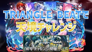 【パズドラ】TRIANGLE BEATで天境チャレンジ！