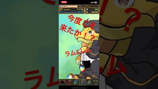 パズドラ 今度こそ来たか！？ラム&レム  #パズドラ #パズドラガチャ  #リゼロコラボ #リゼロ