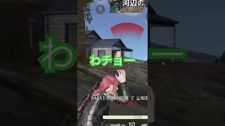 シンプルにっっっやっちゃうよー#荒野行動