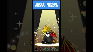 【パズドラ】酒ガチャ！無料×３回　正月ガチャ！無料×１回 　#パズドラ #微課金攻略 #パズドラ微課金