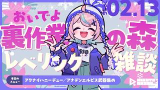 🌾作業のお供にレベリング雑談 #09｜アナデン／メギド72