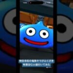 【ドラクエウォーク】時空自在の竜族装備ふくびき有償含む20連引いてみた#ドラクエウォーク# #ドラクエウォークガチャ