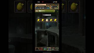 【5連】フェルン探してます⑦【パズドラ】