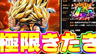 8周年の極限性能がきたきたきたー！！！！【ドッカンバトル】