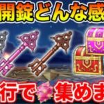 【ドラクエウォーク】イベント進捗はどう!? 魔香の実を集めるべく千里行ガンガン周回します!!【DQW】