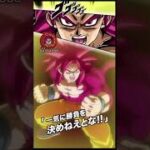ダイマボツティバル天国から地獄編【ドッカンバトル】【Dragon Ball Z Dokkan Battle】#shorts #ドラゴンボール #dragonball #dokkanbattle