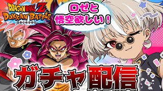 【ドラゴンボールZ ドッカンバトル】最大２６０連！？ロゼと悟空引きに行くぞーー！！【 灰音シャル/個人勢 】
