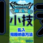 【ドラクエウォーク】小技×乱入がわかる⁉︎ #ドラクエウォーク #dqw #ドラクエ
